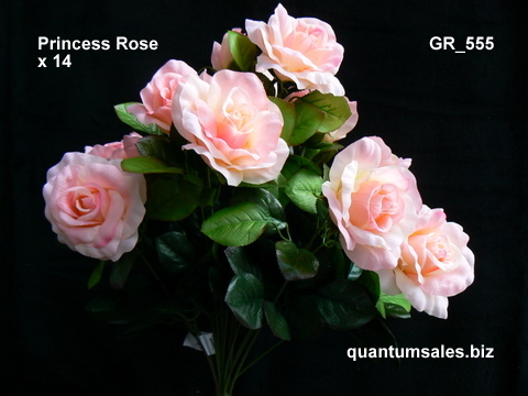 Princess Rose x 14  ( $6.30)